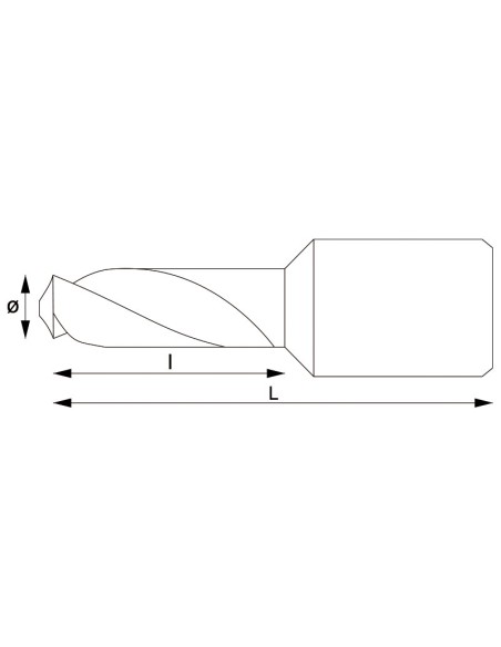 2 - Pointe avec fixation weldon 8x30 mm