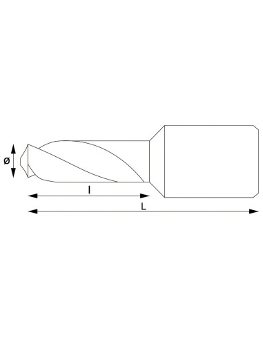2 - Pointe avec fixation weldon 10x30 mm