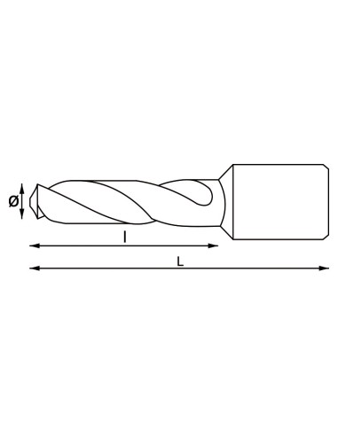 2 - Pointe longue avec embout weldon 11x55 mm