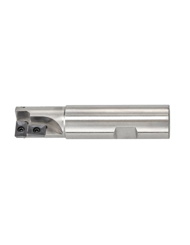 1 - Fraise a plaquettes de 20 mm 20mm insert cutter Fervi f306/20