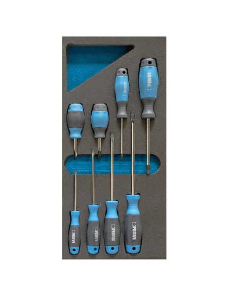 1 - Jeu de 8 tournevis mixtes en soft thermoforme Fervi tm01/020