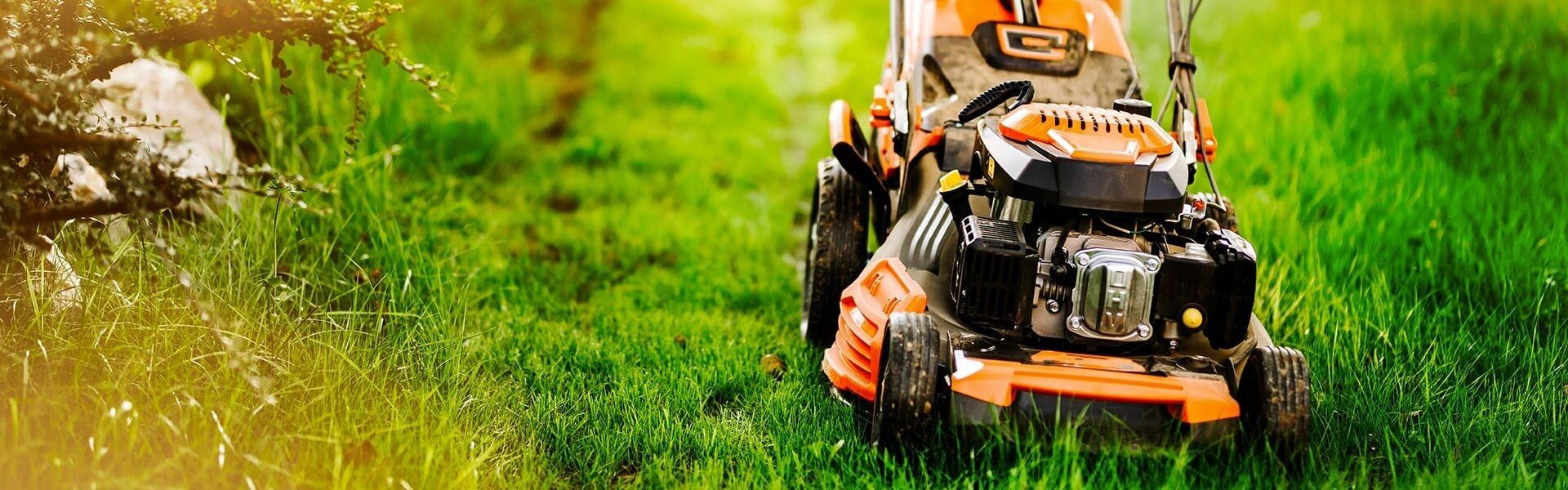 Entretien du gazon et jardinage