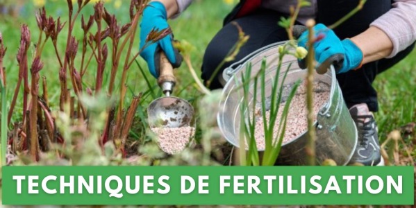 COMMENT RENDRE LE JARDIN PLUS VERT : FERTILISATION