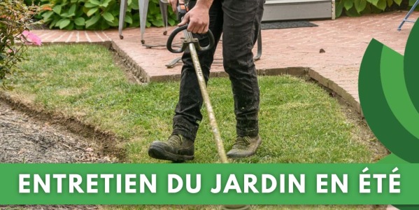 ENTRETIEN DU JARDIN EN ÉTÉ : CONSEILS ET OUTILS ESSENTIELS