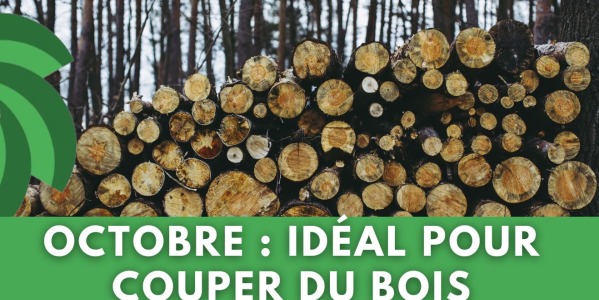 OCTOBRE : LA MOMENT IDÉAL POUR COUPER DU BOIS