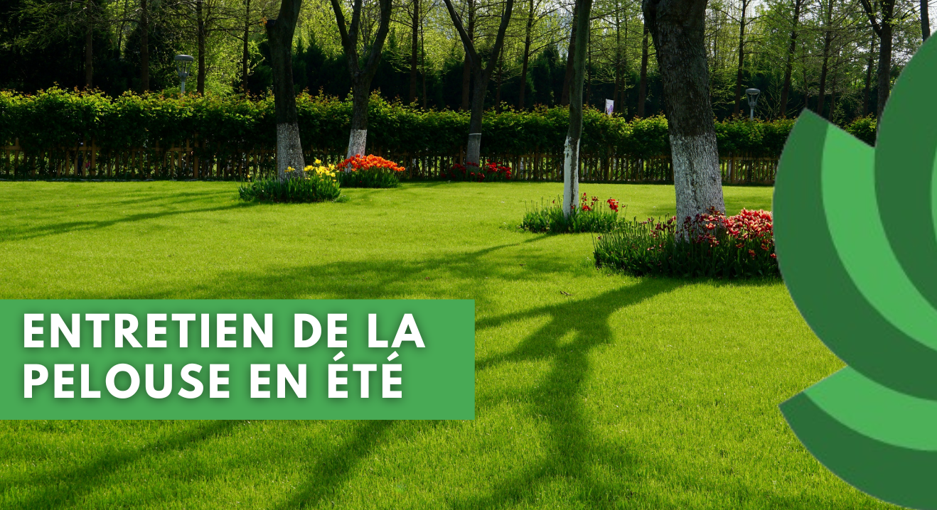 JARDINAGE EN ÉTÉ : TROIS CONSEILS POUR UNE PELOUSE PARFAITE