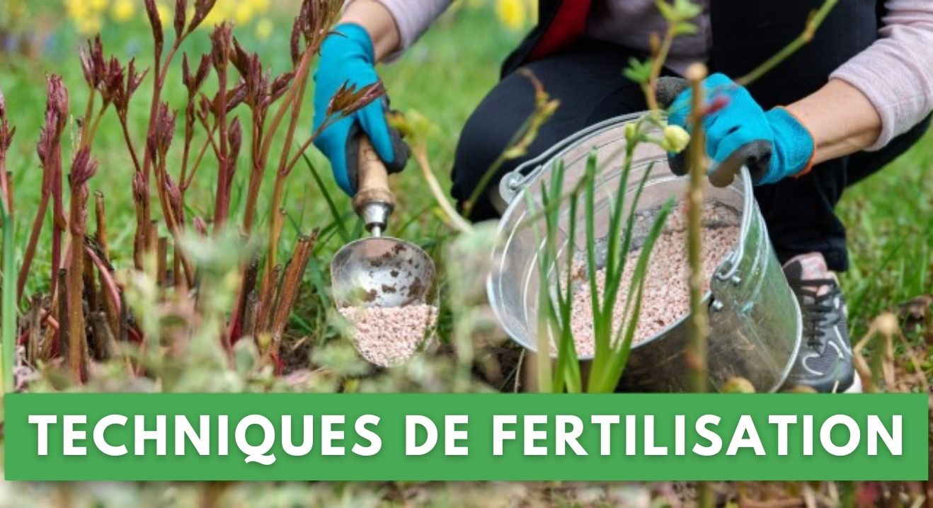 COMMENT RENDRE LE JARDIN PLUS VERT&nbsp;: FERTILISATION