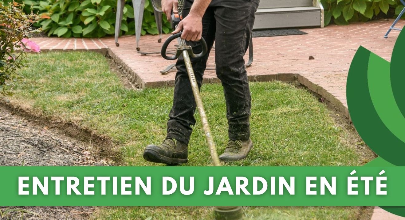 ENTRETIEN DU JARDIN EN ÉTÉ : CONSEILS ET OUTILS ESSENTIELS